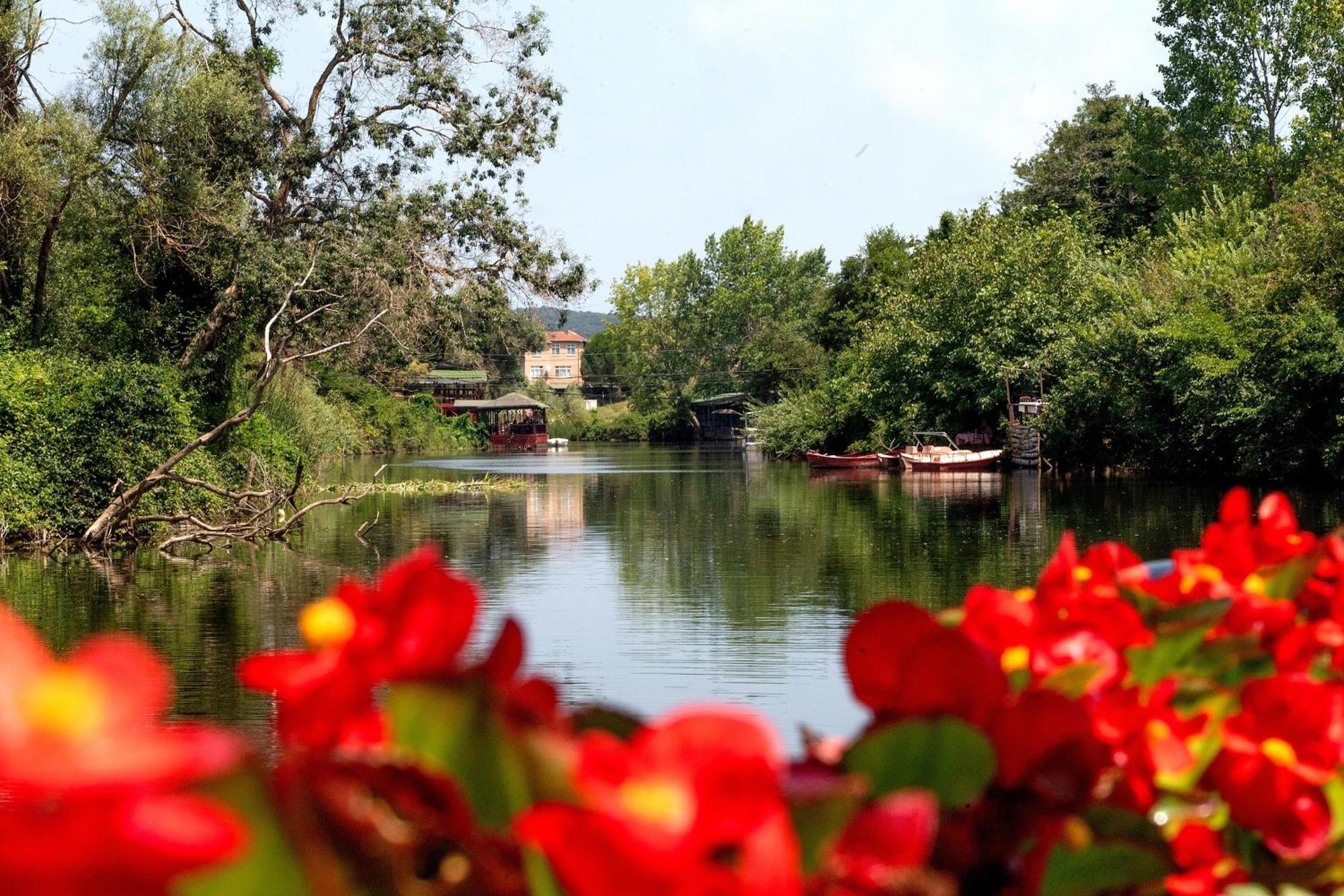 Wineport Lodge Agva Riverside Hotel & Winery Екстериор снимка